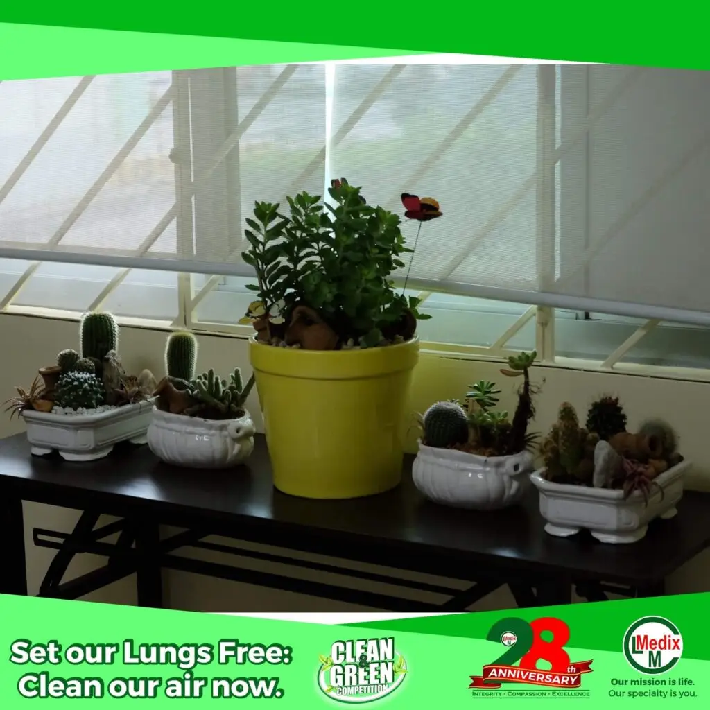 Clean and Green Contest