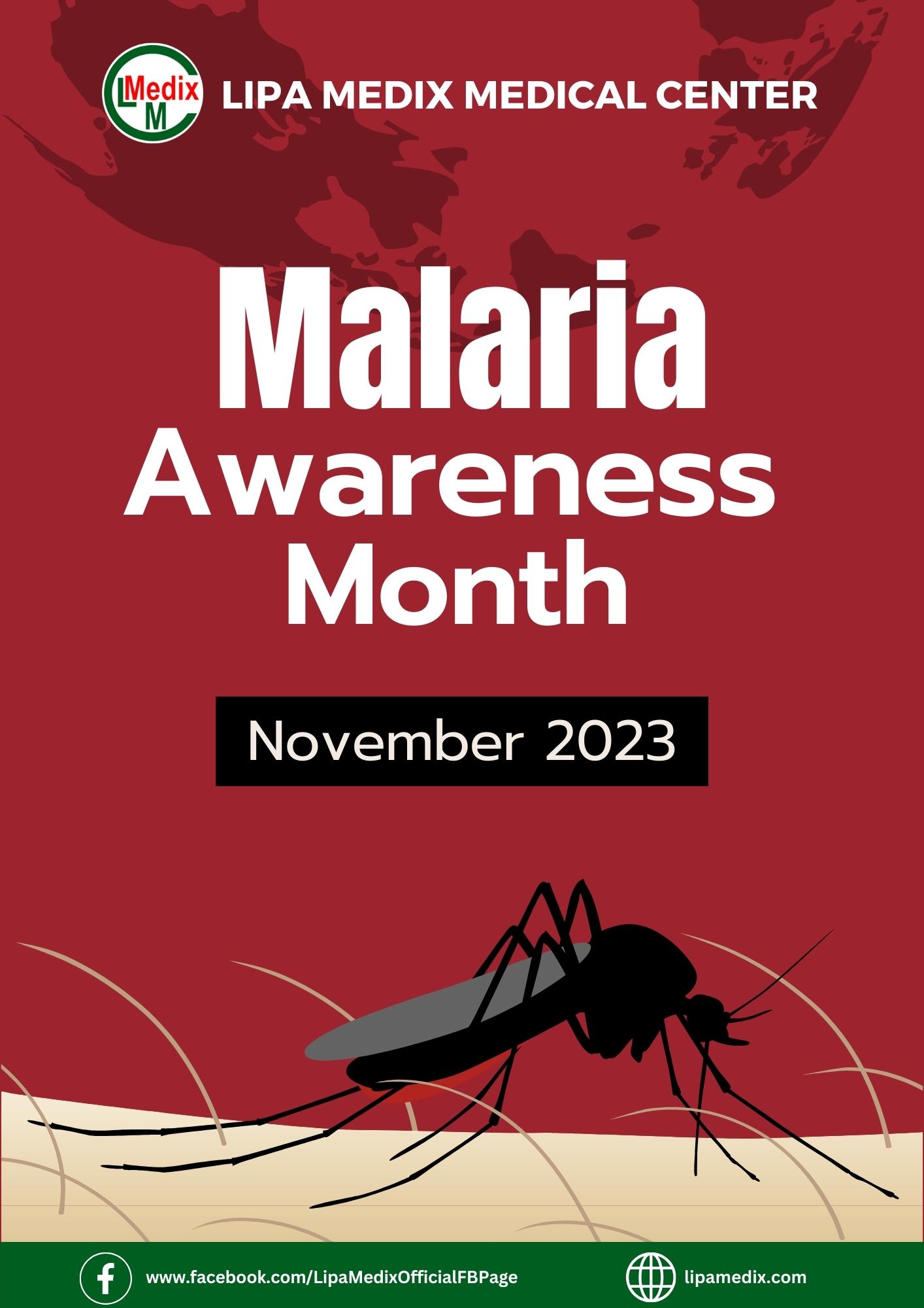 Malaria Awareness Month