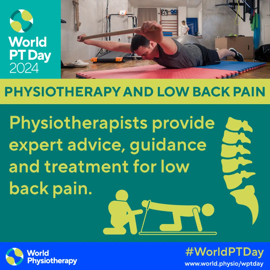 Physiotherapy and Low Back Pain Information Poster