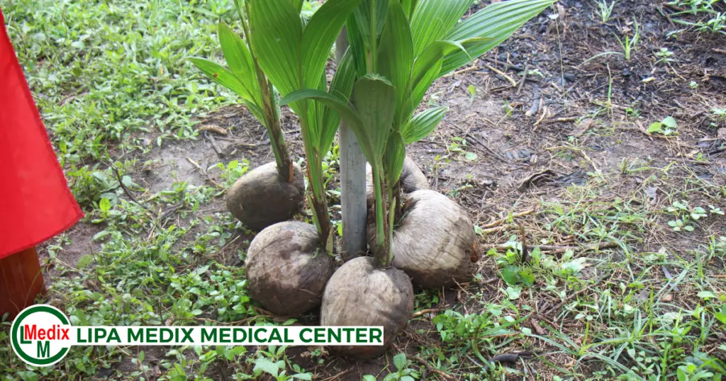 Medix Medical Center tree-planting